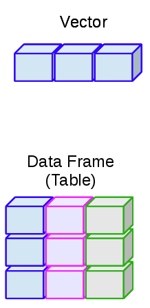 The relationship between data frames and vectors. The different colours in the data frame indicate they are composed of independent vectors